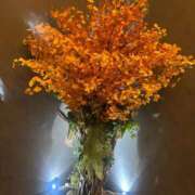 ヒメ日記 2025/11/09 03:34 投稿 れい Number Five 品川（シンデレラグループ）