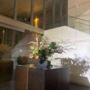 ヒメ日記 2025/12/21 02:04 投稿 れい Number Five 品川（シンデレラグループ）