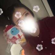 ヒメ日記 2026/04/11 16:32 投稿 れい Number Five 品川（シンデレラグループ）