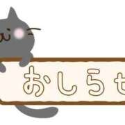 ヒメ日記 2025/04/24 01:28 投稿 はのん 東京アロマスタイル