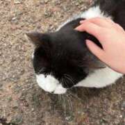 ヒメ日記 2025/05/12 12:01 投稿 にこ DIVA-ディーバ-【DIVAグループ】