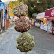 ヒメ日記 2025/11/07 14:57 投稿 にこ DIVA-ディーバ-【DIVAグループ】