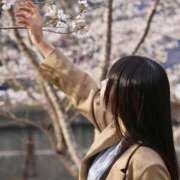 ヒメ日記 2026/04/02 05:30 投稿 にこ DIVA-ディーバ-【DIVAグループ】