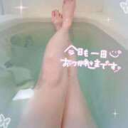 ヒメ日記 2025/03/13 22:51 投稿 NAMI【ナミ】 Evolution1st キタ兎我野店