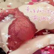 ヒメ日記 2025/05/02 20:02 投稿 NAMI【ナミ】 Evolution1st キタ兎我野店