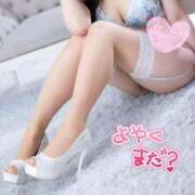 ヒメ日記 2025/05/29 09:41 投稿 NAMI【ナミ】 Evolution1st キタ兎我野店