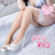 ヒメ日記 2025/05/29 09:41 投稿 NAMI【ナミ】 Evolution1st ミナミ谷九店