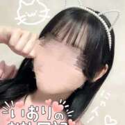 ヒメ日記 2025/03/02 21:53 投稿 いおり 横浜アロマプリンセス（ユメオト）