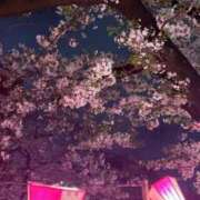 ヒメ日記 2025/04/08 21:33 投稿 早乙女れい Claris Tokyo～クラリス東京～