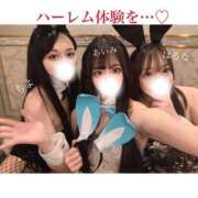 ヒメ日記 2025/04/15 14:23 投稿 はるな TOKYO BUNNYS CLUB