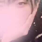 ヒメ日記 2025/03/18 11:01 投稿 森本　いちか NADIA神戸店