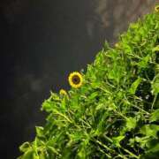 ゆいな 輝夏寂々 渋谷じゃっくす