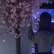 ヒメ日記 2025/03/14 21:51 投稿 ひより ロイヤル土佐