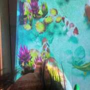 ヒメ日記 2025/05/08 08:21 投稿 ひより ロイヤル土佐