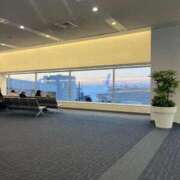 ヒメ日記 2025/12/17 06:58 投稿 ひより ロイヤル土佐