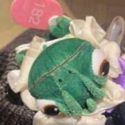 ヒメ日記 2025/12/17 17:45 投稿 ひより ロイヤル土佐