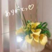 ヒメ日記 2025/04/11 01:45 投稿 わかな 群馬高崎前橋ちゃんこ