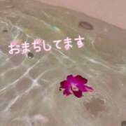 ヒメ日記 2025/04/24 12:45 投稿 わかな 群馬高崎前橋ちゃんこ