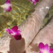 ヒメ日記 2025/05/04 03:05 投稿 わかな 群馬高崎前橋ちゃんこ