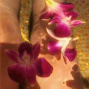 ヒメ日記 2025/06/21 20:35 投稿 わかな 群馬高崎前橋ちゃんこ