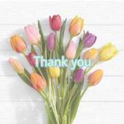 ヒメ日記 2025/07/11 15:50 投稿 わかな 群馬高崎前橋ちゃんこ