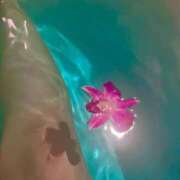 ヒメ日記 2025/07/17 18:58 投稿 わかな 群馬高崎前橋ちゃんこ