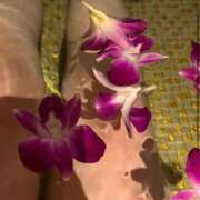 ヒメ日記 2025/11/08 11:35 投稿 わかな 群馬高崎前橋ちゃんこ