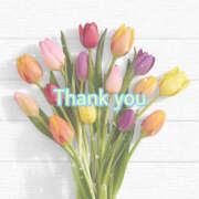 ヒメ日記 2026/10/17 15:25 投稿 わかな 群馬高崎前橋ちゃんこ
