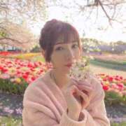 ヒメ日記 2025/04/01 11:59 投稿 桃（もも） 男爵