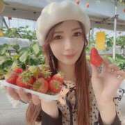 ヒメ日記 2025/04/16 11:49 投稿 桃（もも） 男爵