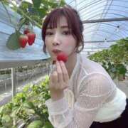 ヒメ日記 2025/05/30 07:15 投稿 桃（もも） 男爵