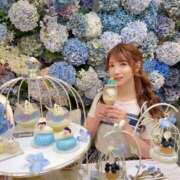 ヒメ日記 2025/06/14 11:00 投稿 桃（もも） 男爵