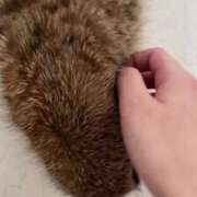 ヒメ日記 2025/06/06 11:38 投稿 もか ワンダフル