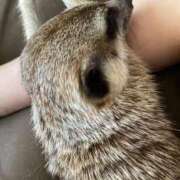 ヒメ日記 2025/09/10 15:28 投稿 もか ワンダフル