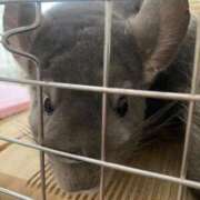 ヒメ日記 2025/10/06 16:18 投稿 もか ワンダフル