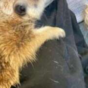 ヒメ日記 2025/12/28 15:18 投稿 もか ワンダフル