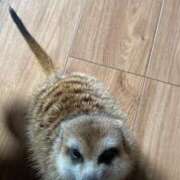 ヒメ日記 2026/01/01 12:58 投稿 もか ワンダフル