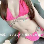 ヒメ日記 2025/03/19 13:06 投稿 わかな ビギナーズ神戸