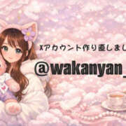 ヒメ日記 2026/03/09 14:47 投稿 わかな ビギナーズ神戸