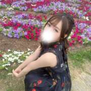 ヒメ日記 2026/05/14 06:47 投稿 わかな ビギナーズ神戸