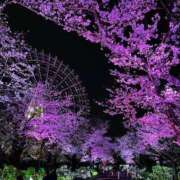 ヒメ日記 2025/04/03 23:04 投稿 みく ごほうびSPA横浜店