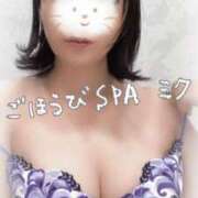 ヒメ日記 2025/05/22 12:25 投稿 みく ごほうびSPA横浜店