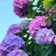 ヒメ日記 2025/06/04 19:34 投稿 みく ごほうびSPA横浜店