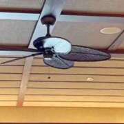 ヒメ日記 2025/12/02 14:38 投稿 みく ごほうびSPA横浜店