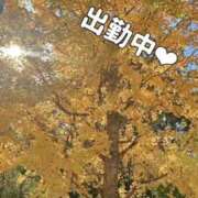 ヒメ日記 2025/12/07 12:34 投稿 みく ごほうびSPA横浜店