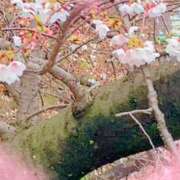 ヒメ日記 2026/03/26 21:37 投稿 みく ごほうびSPA横浜店