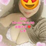 ヒメ日記 2025/03/23 09:06 投稿 しず 新潟市鳥屋野潟ちゃんこ