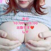 ヒメ日記 2025/04/27 09:06 投稿 しず 新潟市鳥屋野潟ちゃんこ