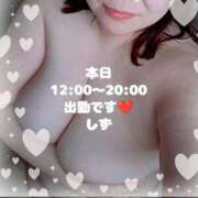 ヒメ日記 2025/05/17 11:36 投稿 しず 新潟市鳥屋野潟ちゃんこ