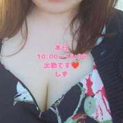 ヒメ日記 2025/06/13 08:58 投稿 しず 新潟市鳥屋野潟ちゃんこ